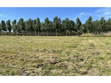 terrain 1 001 m² beaupuy