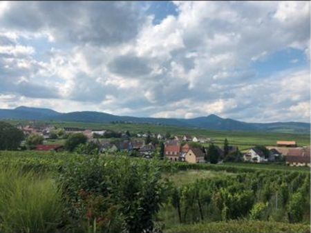 maison avec grand terrain secteur vignoble