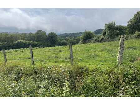 vente terrain 15636 m² razès (87640)