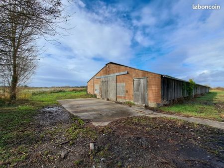 hangar de 600 m2