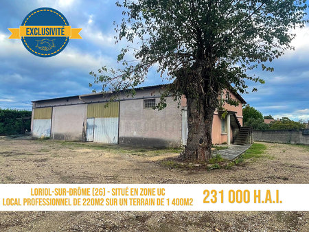 local professionnel de 220m2 environ sur 1400m2 de terrain