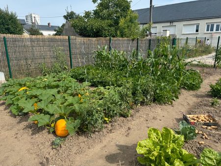 jardins à louer à olivet - idéal pour avoir un extérieur ou cultiver votre potager