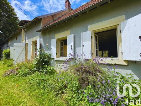 vente maison 6 pièces de 225 m² à alligny