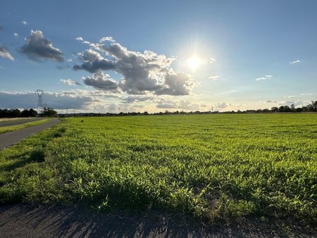 terrain à bâtir à saint-étienne-de-chigny (37230)