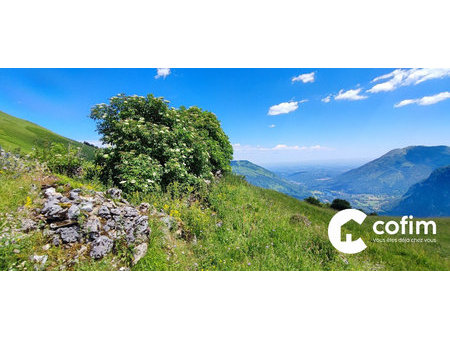 cayolar (grange) en ruines en vallée d'ossau