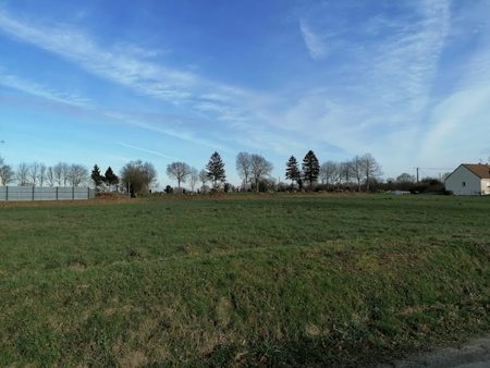 vente terrain 1000 m²