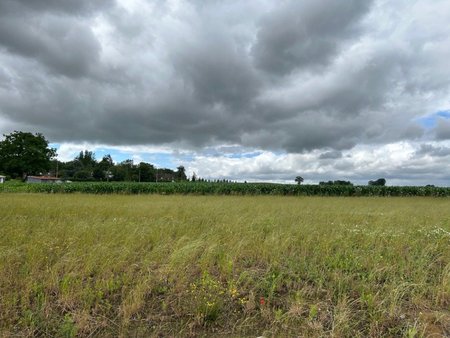 terrain à bâtir à morbecque (59190)