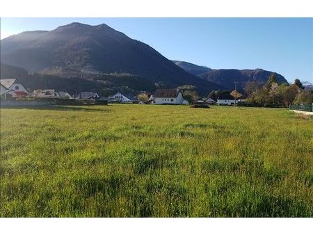 vente terrain 1800 m² louvie-juzon (64260)