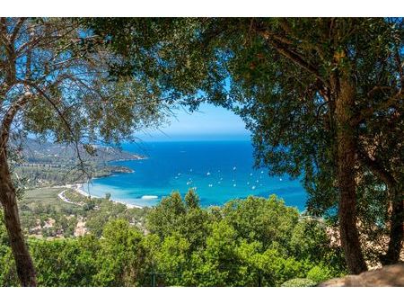 vente villa de luxe saint-florent 8 pièces 220 m²