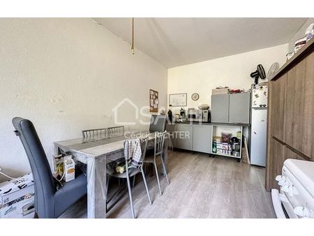 vente appartement 2 pièces 60 m² sainte-marie-aux-mines (68160)