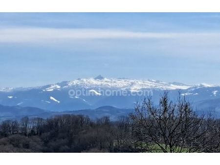 vente terrain 3084 m² sauveterre-de-béarn (64390)