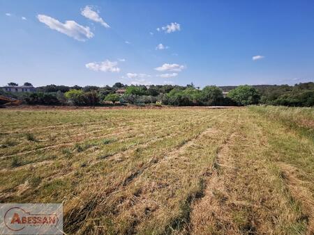 terrain constructible