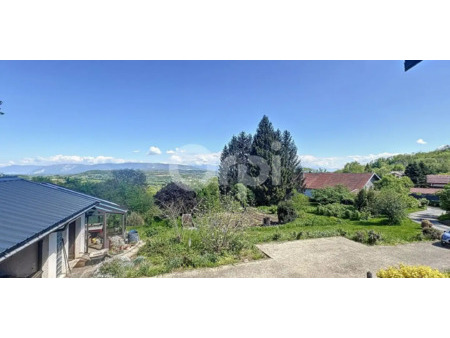 maison avec terrasse savigny (74)