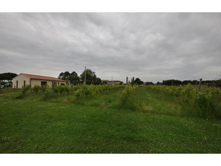 vente terrain 550 m² targon (33760)