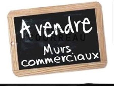 vente locaux professionnels 310 m²