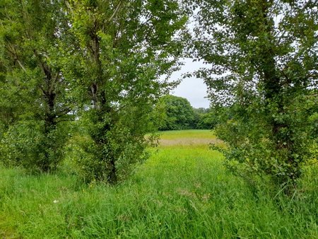 terrain à bâtir à saint-junien (87200)