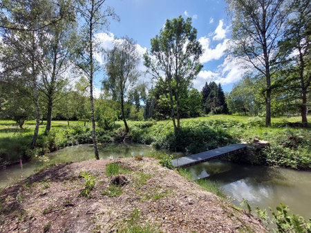 saulcy-sur-meurthe - terrain de 8882m2 avec étang