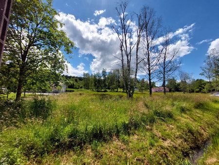 saulcy-sur-meurthe - parcelle de terrain à bâtir viabilisée