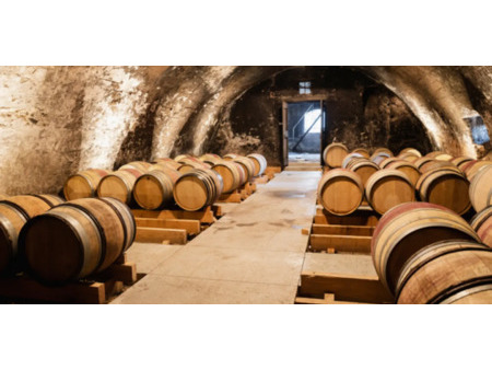 vignoble beaune (21)