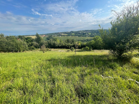 toulouse terrain à bâtir de 2500m2 avec vue pyrénées.