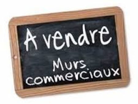 vente locaux professionnels 300 m²