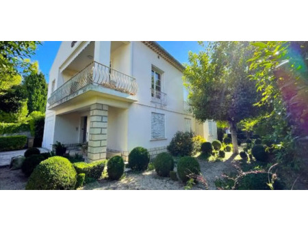 maison avec terrasse arles (13)