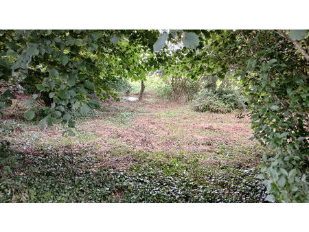 ancien moulin à rénover avec terrain de 1.5ha env.