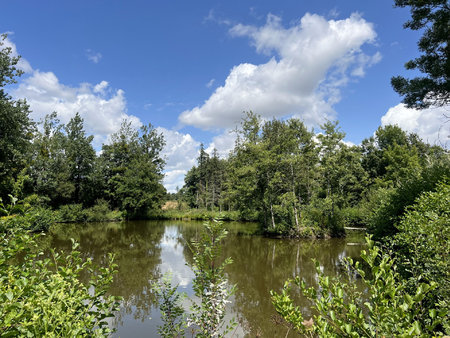 terrain de loisirs