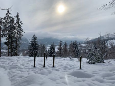 particulier rech. chalet ou ferme sur le secteur de gérardmer et environs