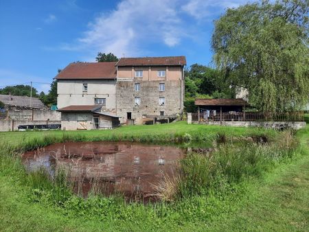 moulin 8 pièces 170 m²