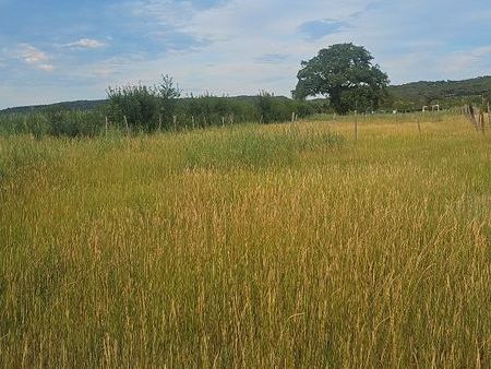 terrain agricole/loisir 2500m