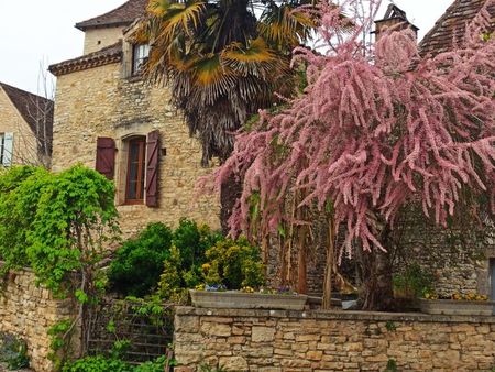 maison en pierre à rénover