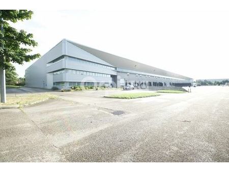 local logistique 8 639 m²