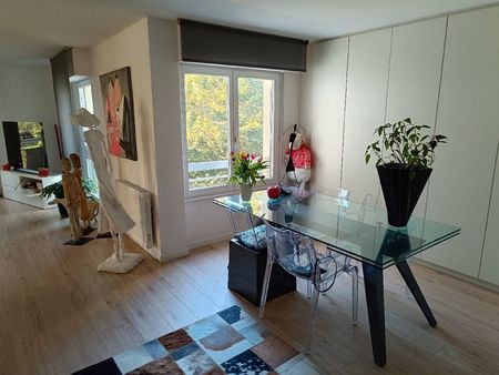 vends bel appartement 100m2 riedisheim