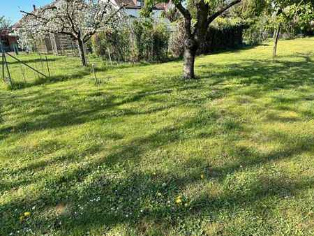 terrain 500 m² colmar