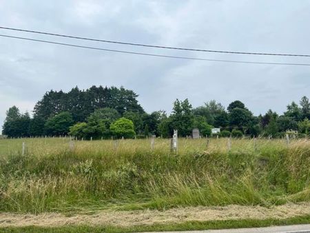 terrain à bâtir dans la commune de paliseul