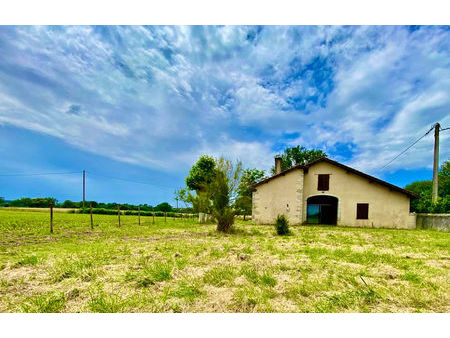 maison landaise entre peyrehorade et salies de béarn 4 pièces 115 m² - peyrehorade