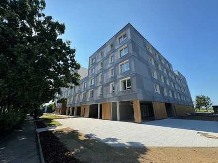 location de bureau de 168 m² à schiltigheim - 67300