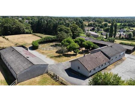 haras avec terrain