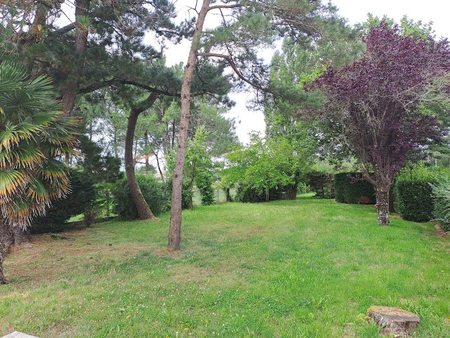 vente terrain 990 m²