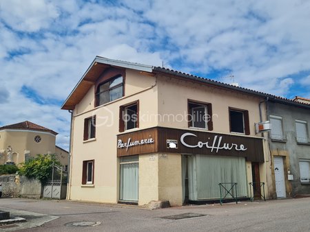 immeuble de 111 m² à labarthe-inard