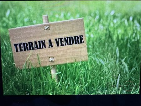 vente terrain 42989 m²