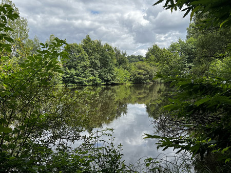 propriete avec etang