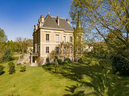 chateau avec dependances entre peyrehorade et dax