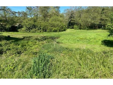 vente terrain 1346 m² le teich (33470)