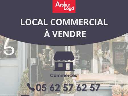 achat de local commercial de 253 m² à toulouse - 31000