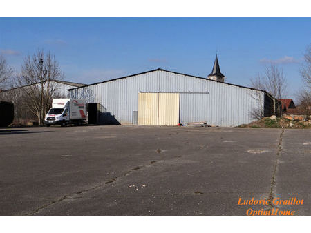 vente local industriel 1 pièce 7400 m² saint-blin (52700)