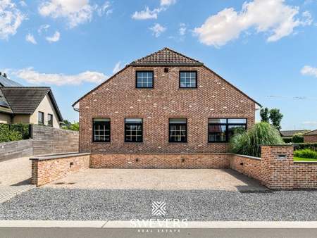 maison à vendre à koersel € 519.000 (kt92b) - swevers real estate | zimmo