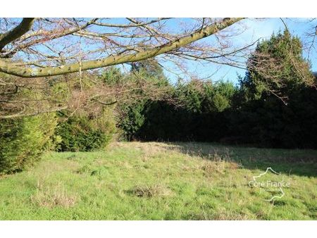 vente terrain 1134 m² lons (64140)