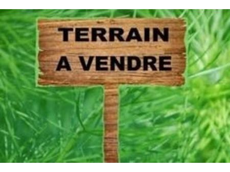 vente terrain 1000 m²